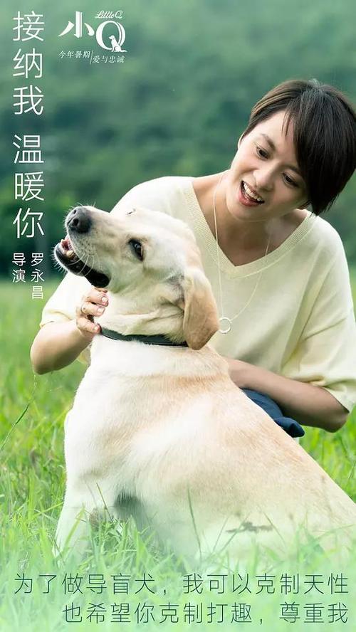 CollegeofArtAdvertising学士成绩单